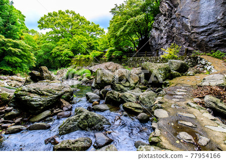 Fresh green Daioji Temple 500 Rakan (Bucheon Valley) [Isahaya City, Nagasaki Prefecture] 77954166