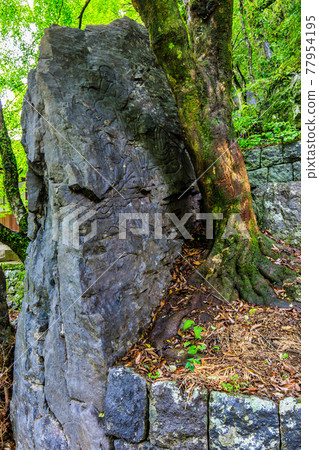 新鮮的綠色大王寺 500 Rakan（富川谷）[長崎縣諫早市] 77954195