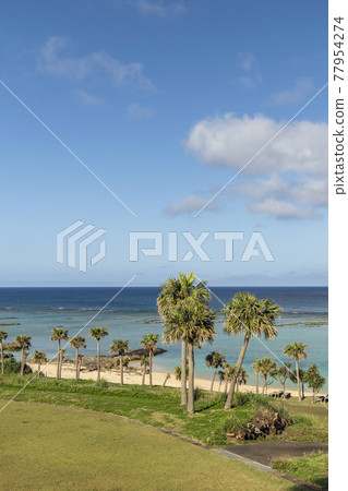 德之島天城町與那海灘的棕櫚樹和海岸線 德之島天城町與那海灘的棕櫚樹和海岸線 77954274