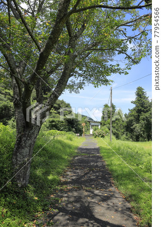 Isumi 鐵道 Kugahara 站(千葉 Isumi) Isumi 鐵道 Kugahara 站(千葉 Isumi) 77954566