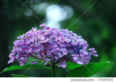 下雨時它會變濕 77954595