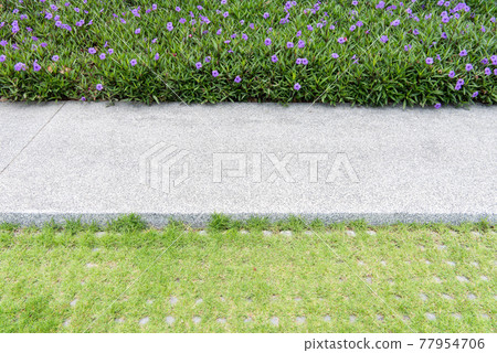 walkway in garden 77954706
