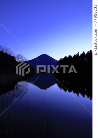 黎明前從富士山的富士山 黎明前從富士山的富士山 77955233