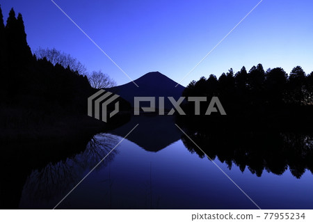 黎明前從富士山的富士山 黎明前從富士山的富士山 77955234
