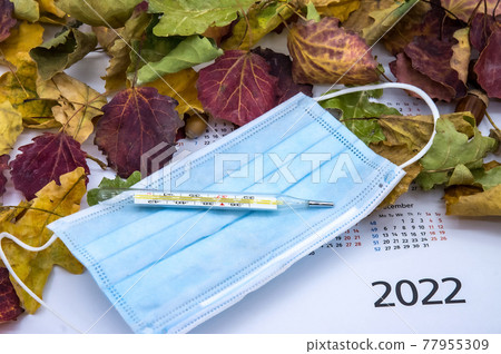 Autumn leaves and thermometer.Seasonal morbidity in the population in 2022. Medical mask and thermometer. 77955309
