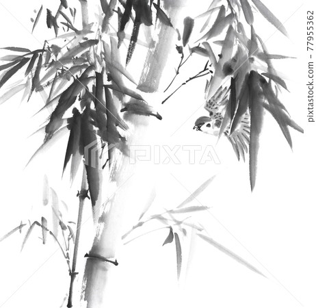 Bamboo and sparrow ink painting illustration Bamboo and sparrow ink painting illustration 77955362