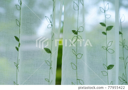花園綠和蕾絲窗簾2 77955422