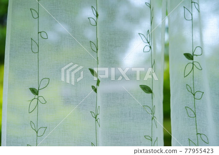 花園綠和蕾絲窗簾3 花園綠和蕾絲窗簾3 77955423
