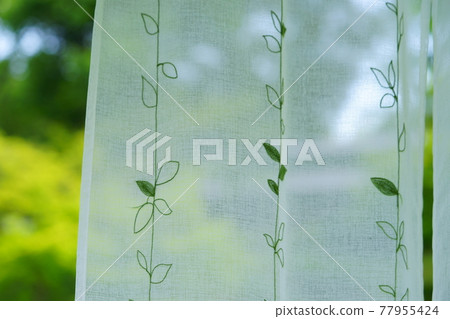 花園綠和蕾絲窗簾 4 77955424