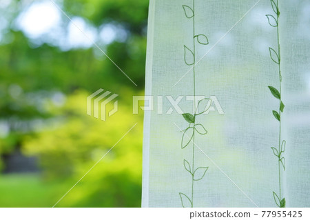 花園綠和蕾絲窗簾5 花園綠和蕾絲窗簾5 77955425