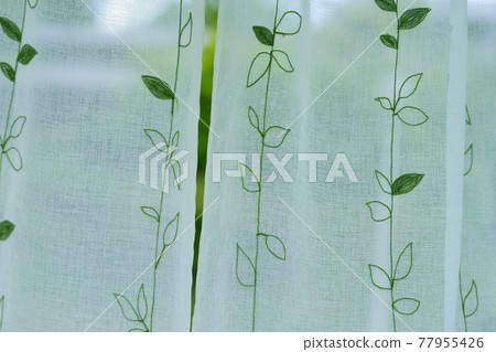 花園綠和蕾絲窗簾6 77955426