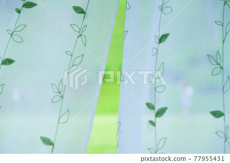 Family 2 playing in the grass field Family 2 playing in the grass field 77955431