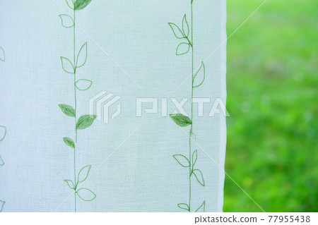 花園綠和蕾絲窗簾9 花園綠和蕾絲窗簾9 77955438