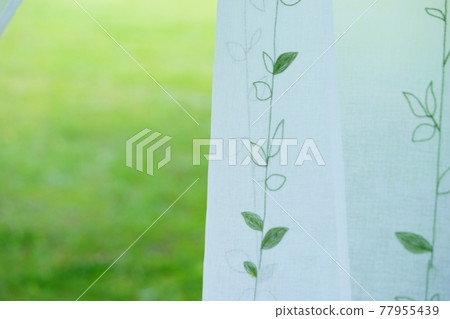 花園綠和蕾絲窗簾10 花園綠和蕾絲窗簾10 77955439