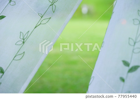 花園綠和蕾絲窗簾11 77955440