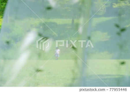 在草地上玩耍的女孩 在草地上玩耍的女孩 77955446