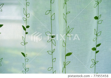 窗簾後的花園裡的綠色 7 窗簾後的花園裡的綠色 7 77955458