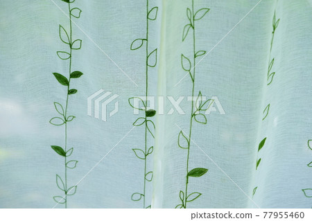 窗簾後的花園裡的綠色 8 77955460