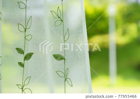 窗簾後的花園綠意盎然 12 77955466