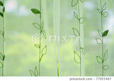 Green in the garden behind the curtain 13 77955467