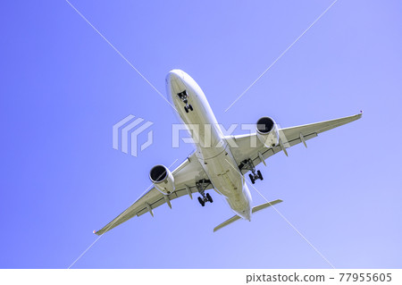 Airplane A350-900 to land 77955605