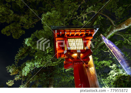 [神奈川縣] 江之島神社的燈籠在夜間點亮 77955872