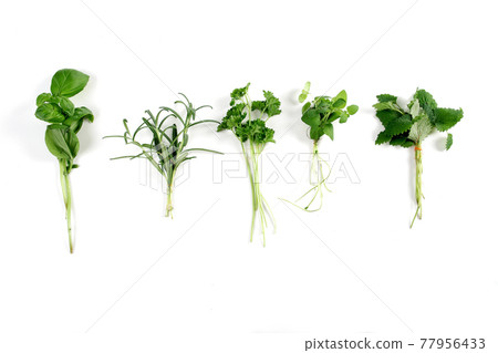 Beautiful still life food stock photography Beautiful still life food stock photography 77956433