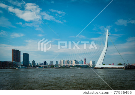 View of Rotterdam over Nieuwe Maas with Erasmusbrug bridge. Rottherdam, the Netherlands 77956496