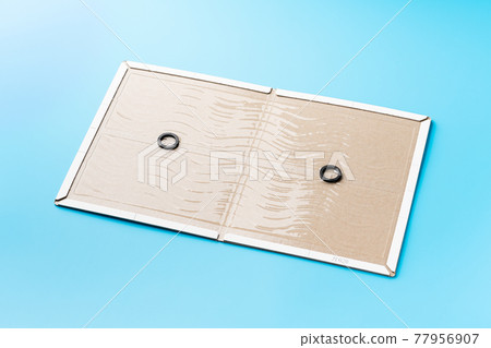 Mousetrap adhesive sheet 77956907