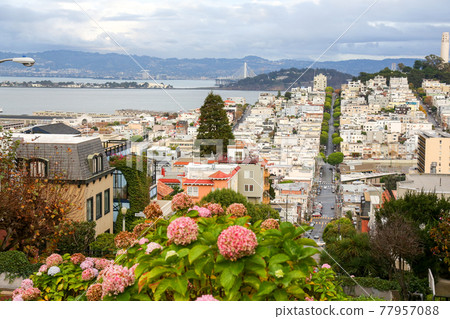 View from downtown Lombard Street, San Francisco, USA View from downtown Lombard Street, San Francisco, USA 77957088