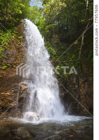 Onigataki (Tsuruga City, Fukui Prefecture) Onigataki (Tsuruga City, Fukui Prefecture) 77957606