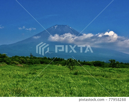 Looking at Mt. Fuji on a sunny day Looking at Mt. Fuji on a sunny day 77958288