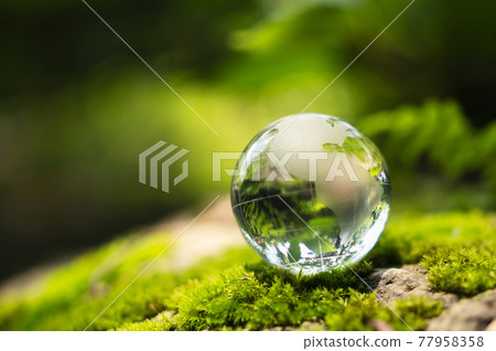 rystal globe glass resting on moss stone with sunshine in nature forset. eco  environment concept 77958358