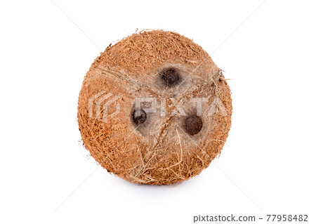 Whole coconut isolated on white background. De-husked coconut fruit showing the characteristic three pores 77958482