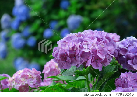 下雨時它會變濕 下雨時它會變濕 77959240