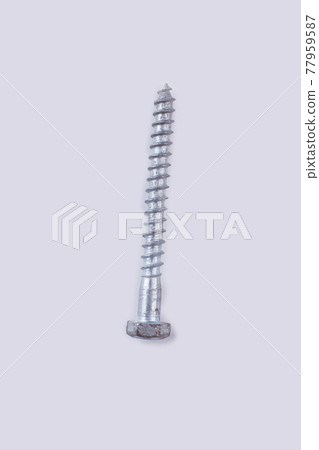 Iron screw nail, top view. 77959587