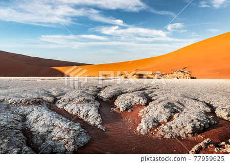 Dried ground with sand in Namib desert during sunset 77959625