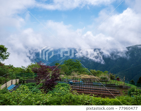 View from the large observatory of Mt. Mitake lift 77960477