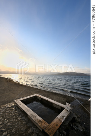 北海道_屈斜路湖_砂湯溫泉的天鵝聚集地 77960645