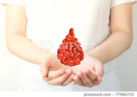 Blood donation. Human hands holding blood drop shape of red blood cells over white background. World blood donor day and save life concept. 77960729