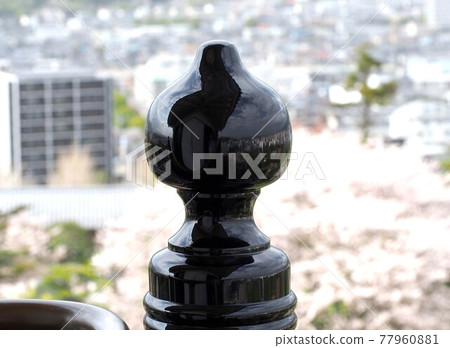 Kochi Castle castle tower with black lacquer (background is Kochi city in spring) Kochi Castle castle tower with black lacquer (background is Kochi city in spring) 77960881