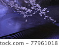 櫻花 77961018