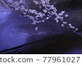 櫻花 77961027