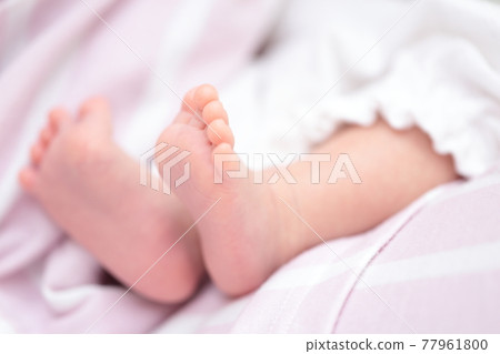 Newborn girl's feet hugged by mom 77961800