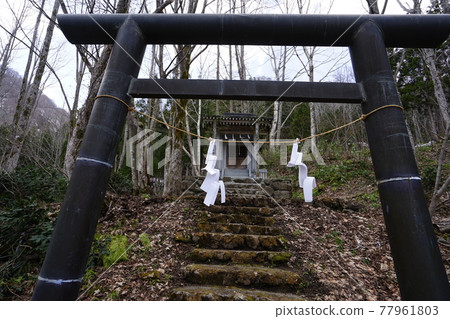 2021 年 4 月 30 日從長野縣 Okuhemika 自然公園到 Imaike Marsh 的路上的 Okuhemikasha 附近 2021 年 4 月 30 日從長野縣 Okuhemika 自然公園到 Imaike Marsh 的路上的 Okuhemikasha 附近 77961803