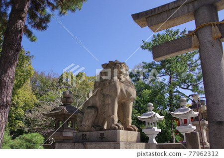 Sea God Sumiyoshi Shrine Headquarters Sumiyoshi Taisha Sea God Sumiyoshi Shrine Headquarters Sumiyoshi Taisha 77962312