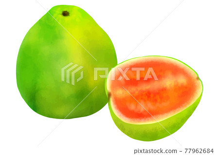 guava 77962684