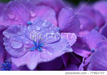 下雨時它會變濕 77962737