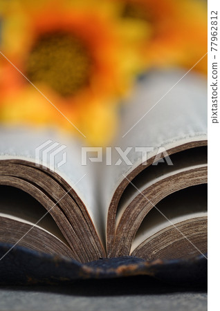 An Open Holy Bible and Sunflowers on Stone Table An Open Holy Bible and Sunflowers on Stone Table 77962812