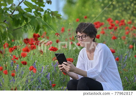 Woman In A Poppy Field Reading A Tablet Book 77962817